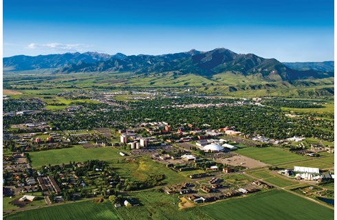  Montana State University, Bozeman